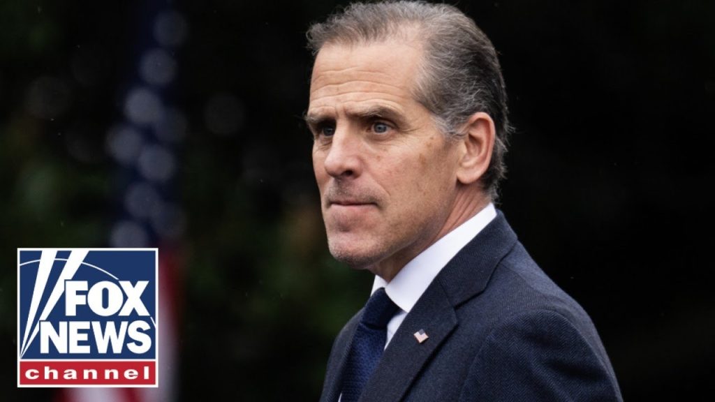 Hunter Biden makes ‘UNBELIEVABLE’ admission: ‘Voice of sanity’