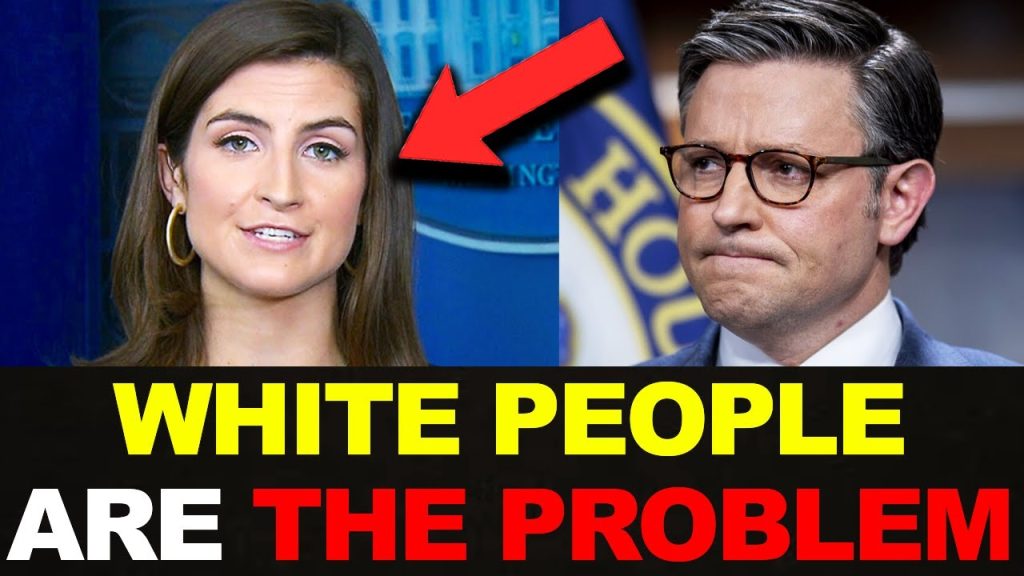 MAGA Warrior SHUTDOWN & HUMILIATES ‘CNN’ Kaitlan Collins she tried ATTACKING him over THIS