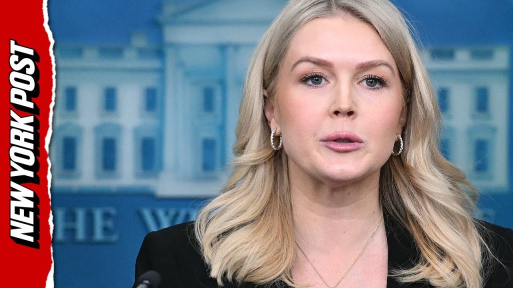 White House: Minneapolis Shooting Fault of ‘Sinister Leftwing Movement’