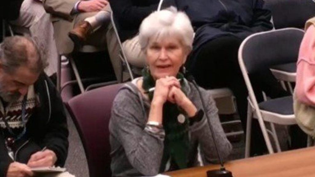 ‘PURE EVIL’: Woke Lib Makes CHILLING Confession at School Board Hearing — Pray for Our Children