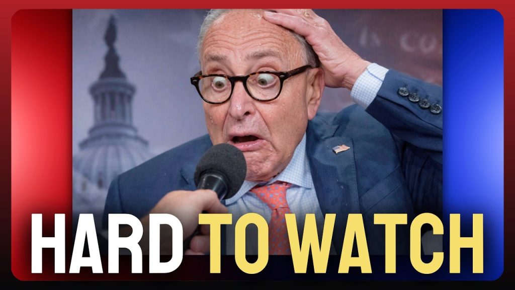 Schumer Cornered, PANICS After REFUSING To Stand?!