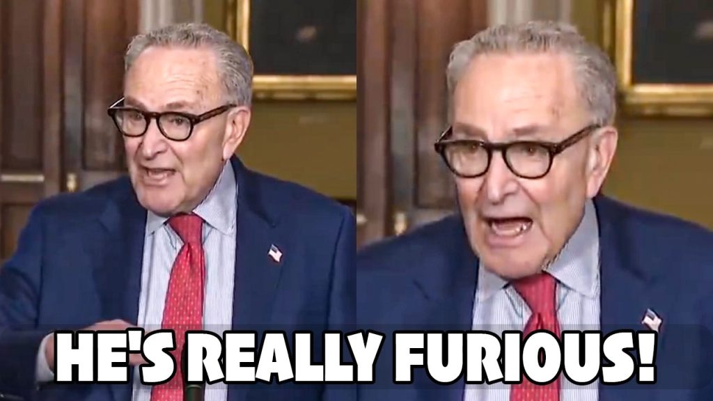Chuck Schumer FREEZES After Realizing His Massive Mistake