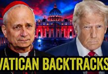 Guess WHO Just Apologized to Trump in Front of The World!!!!!