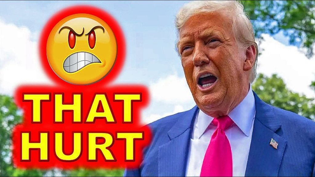 Fake MAGA & Democrats Have MELTDOWN After Trump’s PERFECT Response…..